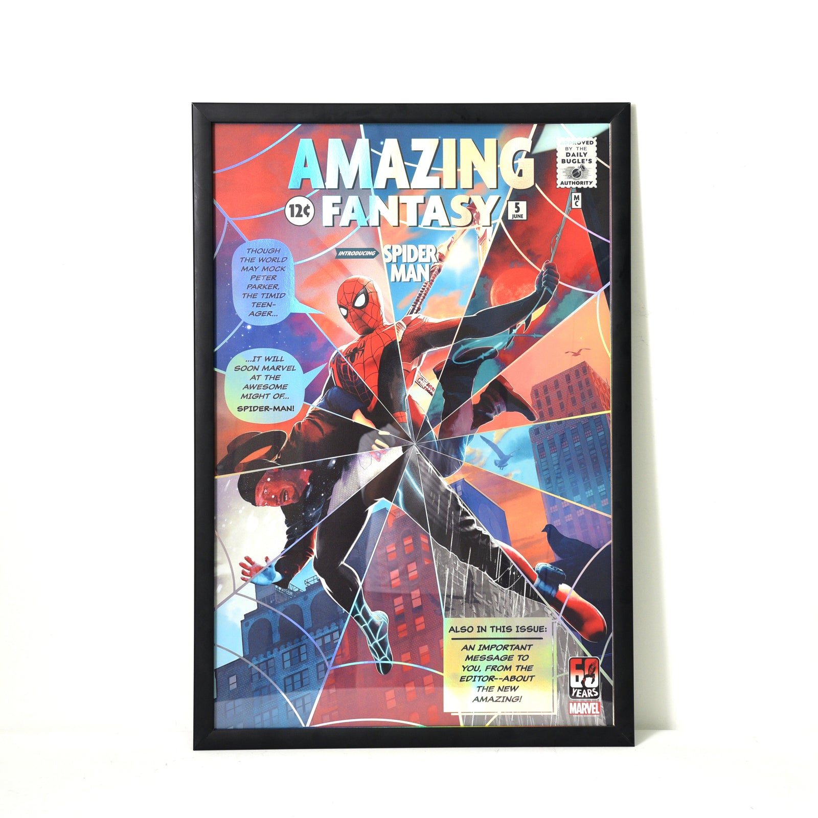 Front Open "Easy Swap" Print Frame - Archival & Acid-Free