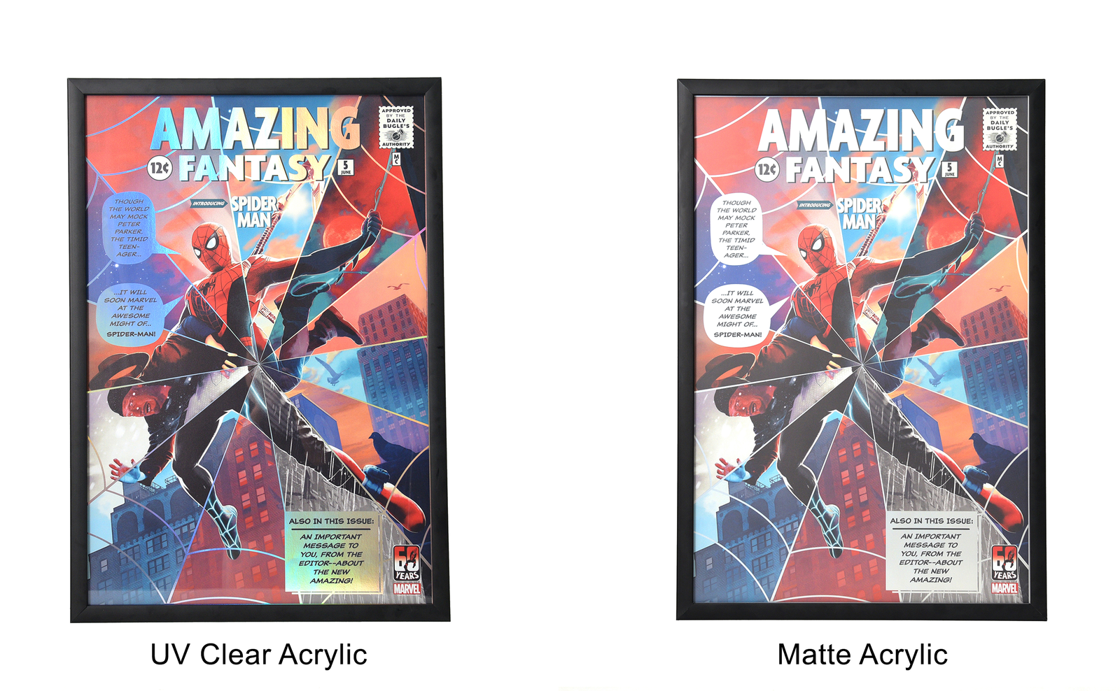 Front Open "Easy Swap" Print Frame - Archival & Acid-Free